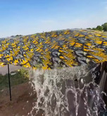 سایبان کنار خودرو آفرودی ضدآب دارای چهار پایه برند